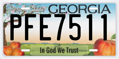 GA license plate PFE7511