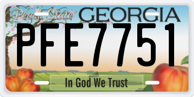 GA license plate PFE7751