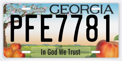 GA license plate PFE7781