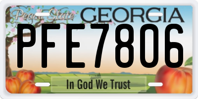 GA license plate PFE7806