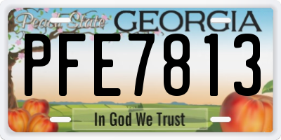 GA license plate PFE7813