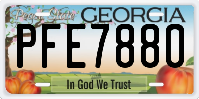 GA license plate PFE7880