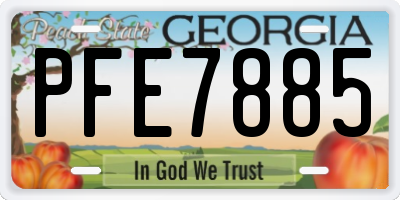 GA license plate PFE7885