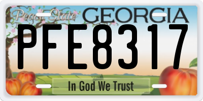 GA license plate PFE8317