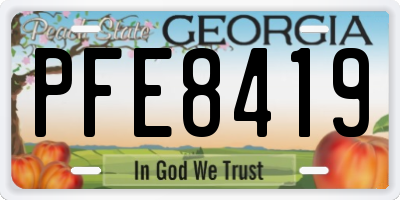 GA license plate PFE8419