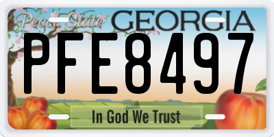 GA license plate PFE8497