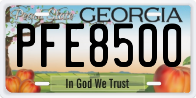 GA license plate PFE8500