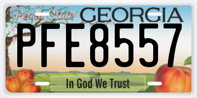 GA license plate PFE8557