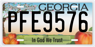 GA license plate PFE9576