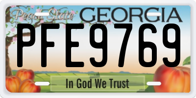 GA license plate PFE9769