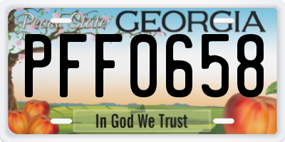 GA license plate PFF0658