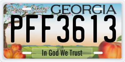GA license plate PFF3613