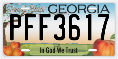 GA license plate PFF3617