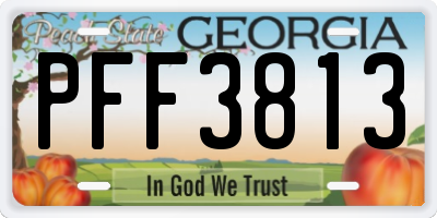 GA license plate PFF3813