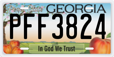 GA license plate PFF3824