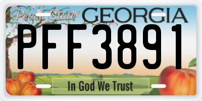 GA license plate PFF3891