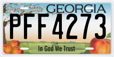 GA license plate PFF4273