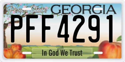GA license plate PFF4291