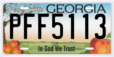 GA license plate PFF5113