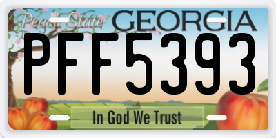 GA license plate PFF5393