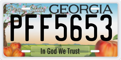 GA license plate PFF5653