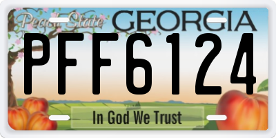 GA license plate PFF6124