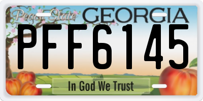 GA license plate PFF6145