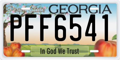 GA license plate PFF6541