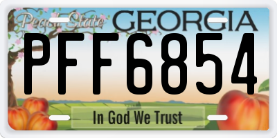 GA license plate PFF6854