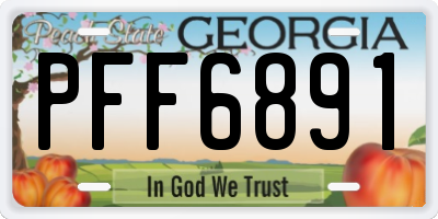 GA license plate PFF6891