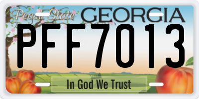 GA license plate PFF7013