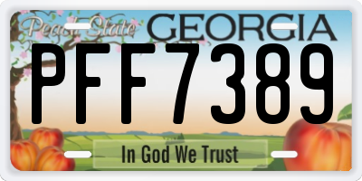 GA license plate PFF7389