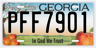 GA license plate PFF7901