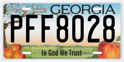GA license plate PFF8028