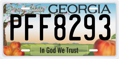 GA license plate PFF8293