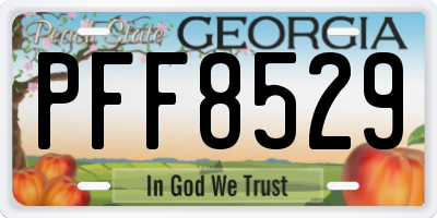 GA license plate PFF8529