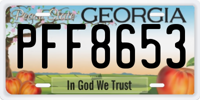 GA license plate PFF8653