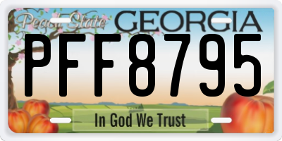 GA license plate PFF8795