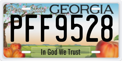 GA license plate PFF9528