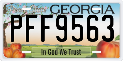GA license plate PFF9563