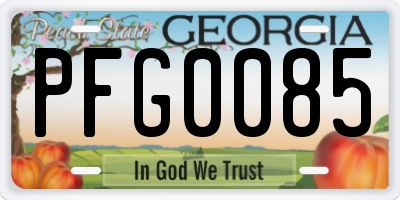 GA license plate PFG0085