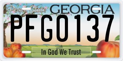 GA license plate PFG0137