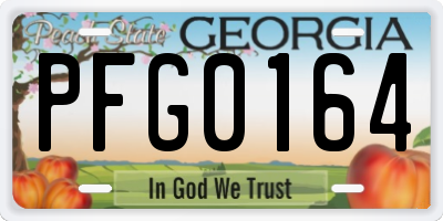 GA license plate PFG0164