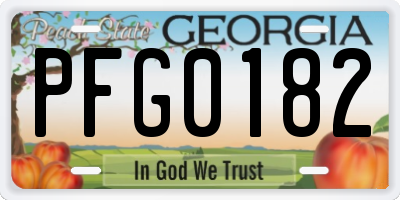 GA license plate PFG0182