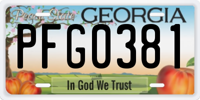 GA license plate PFG0381