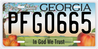 GA license plate PFG0665