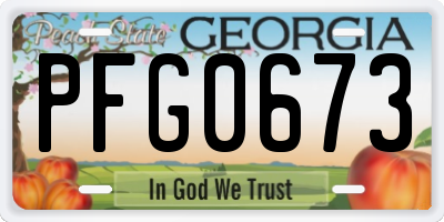 GA license plate PFG0673