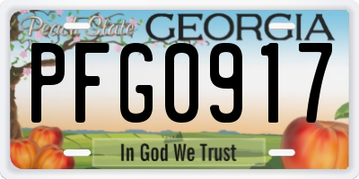 GA license plate PFG0917