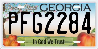GA license plate PFG2284