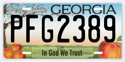 GA license plate PFG2389